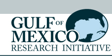 Gulf of Mexico Research Initiative